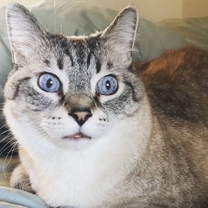 Meet your Posher, Catherine